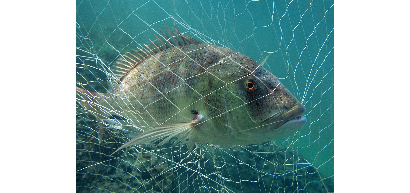 First European scientific expedition to study man’s impact on coastal areas arrives in Split